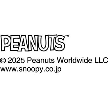 PEANUTS　木箱入マグ（happy holiday)