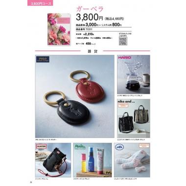 テイク　ユア　チョイス　ガーベラ