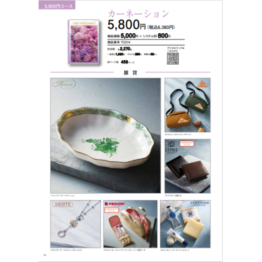 テイク　ユア　チョイス　カーネーション