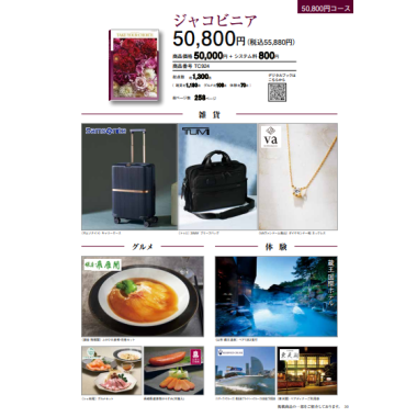 テイク　ユア　チョイス　ジャコビニア