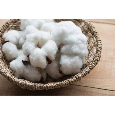 オーガニックリュクス　バスタオル